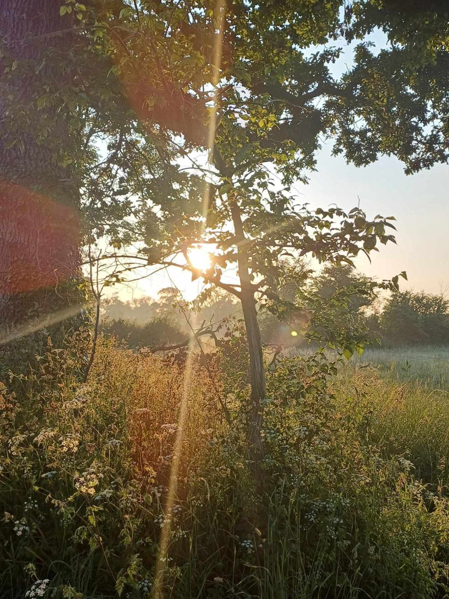 Bed and Breakfast Auxais Memory 44' Esterno foto